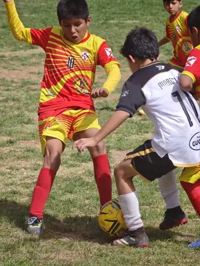 Fotografia del album Club Cracks Juniors vs Diablos de Oro - La Liga Kids Cup